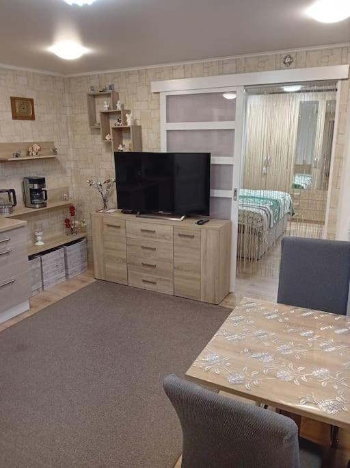 Ferienwohnung Im Luftkurort 그라사우 외부 사진